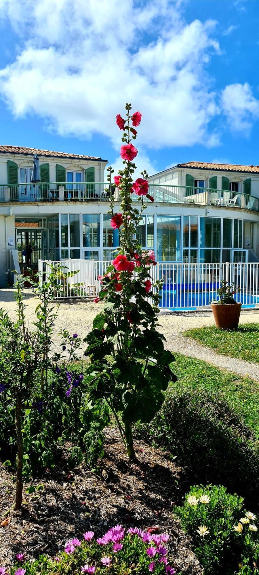 Appartement 91 Palais Des Gouverneurs Сен-Мартен-де-Ре Экстерьер фото